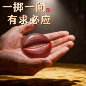 微信图片_20260224112139_486_4